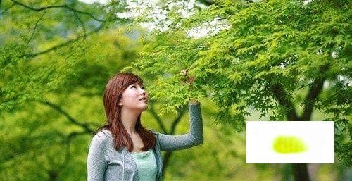 佳能50 1.2与85 1.2如何选