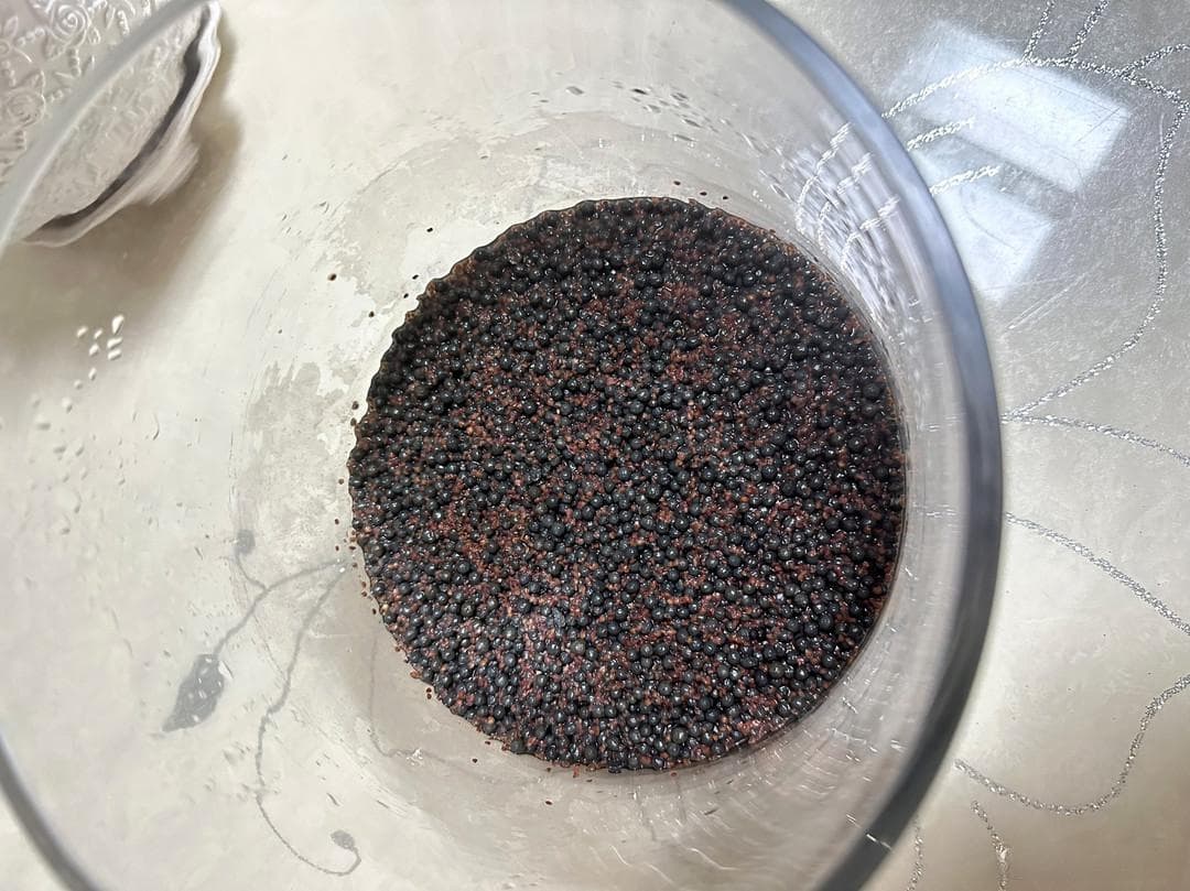 鱼缸水草泥：水草生长的沃土之源