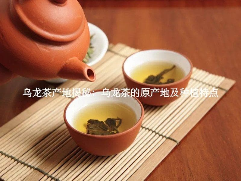 乌龙茶三大产区：独特地理环境造就高品质茶叶