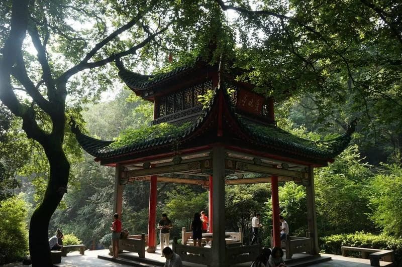 岳麓山：学术与自然的和谐之旅