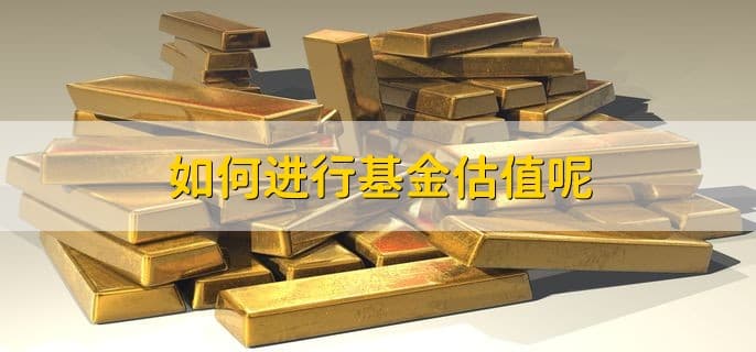 基金估值是什么意思，基金净值的估算值