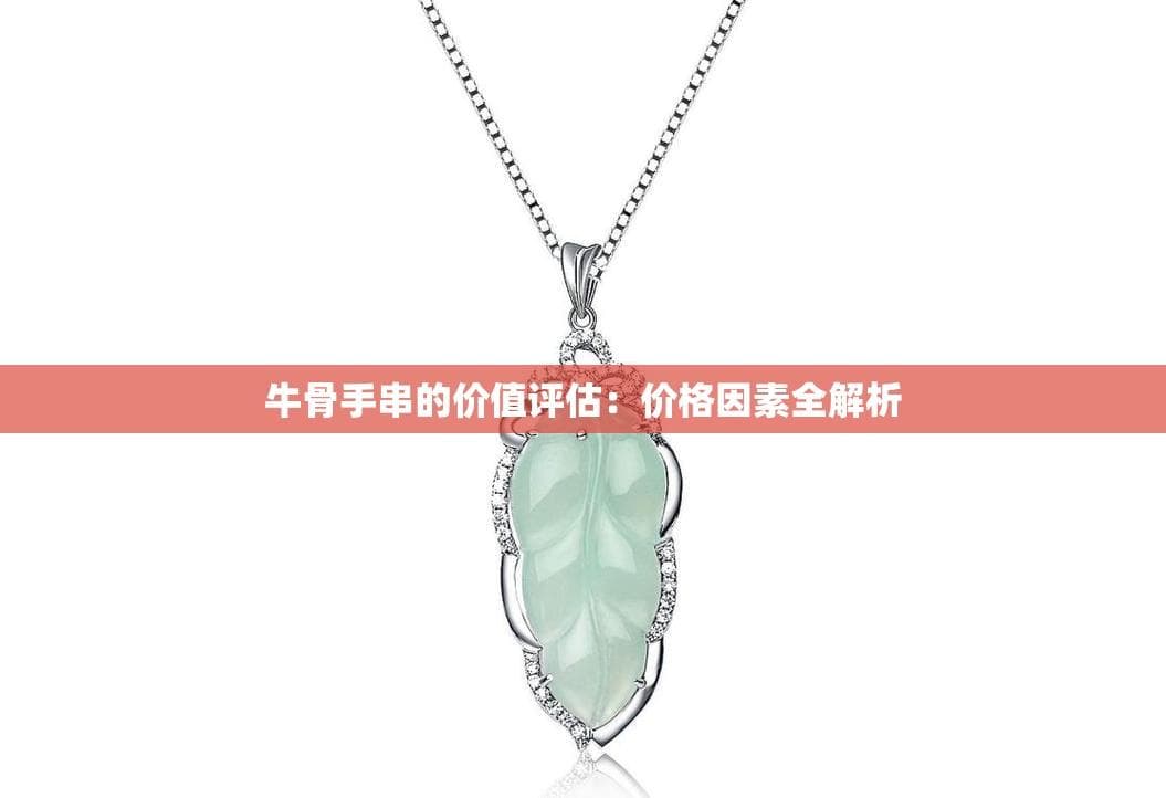 牛骨手串的价值评估：价格因素全解析