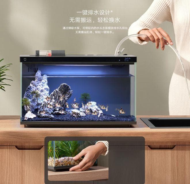 家用鱼缸如何清洗？这6点要记住，让鱼儿快乐成长！