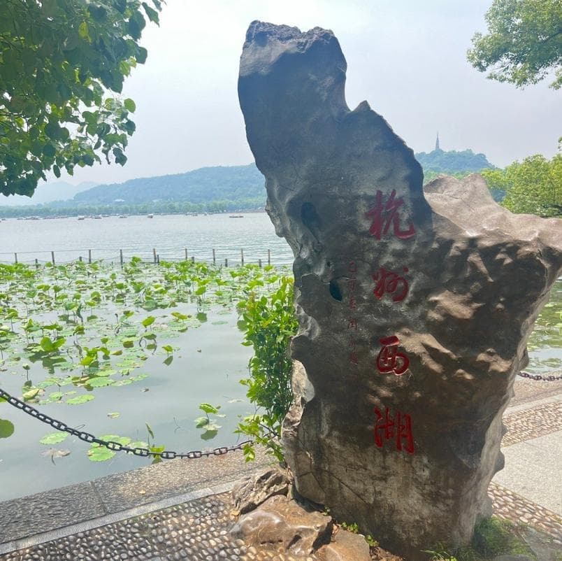 杭州十大著名景点游玩攻略：从西湖到九溪烟树的深度体验