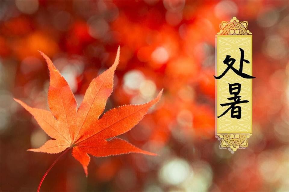 明日处暑，提醒大家：吃1肉、尝2豆、喝3样，安稳顺利过秋天