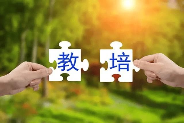 教培行业复苏现象的背后：政策调整与市场需求双重驱动，行业转型能否持续成功