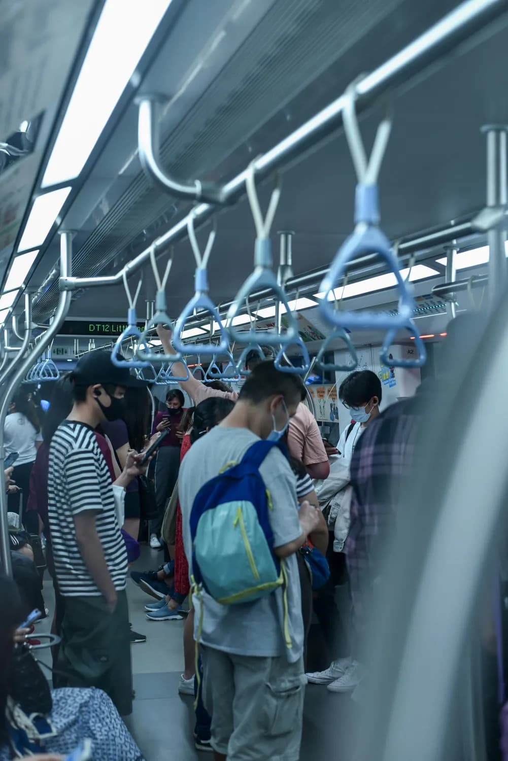 武汉绿色出行比例达76%，绿色出行成市民首选