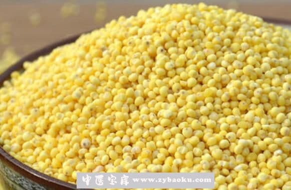 糯小米和粘小米的功效与作用一样吗