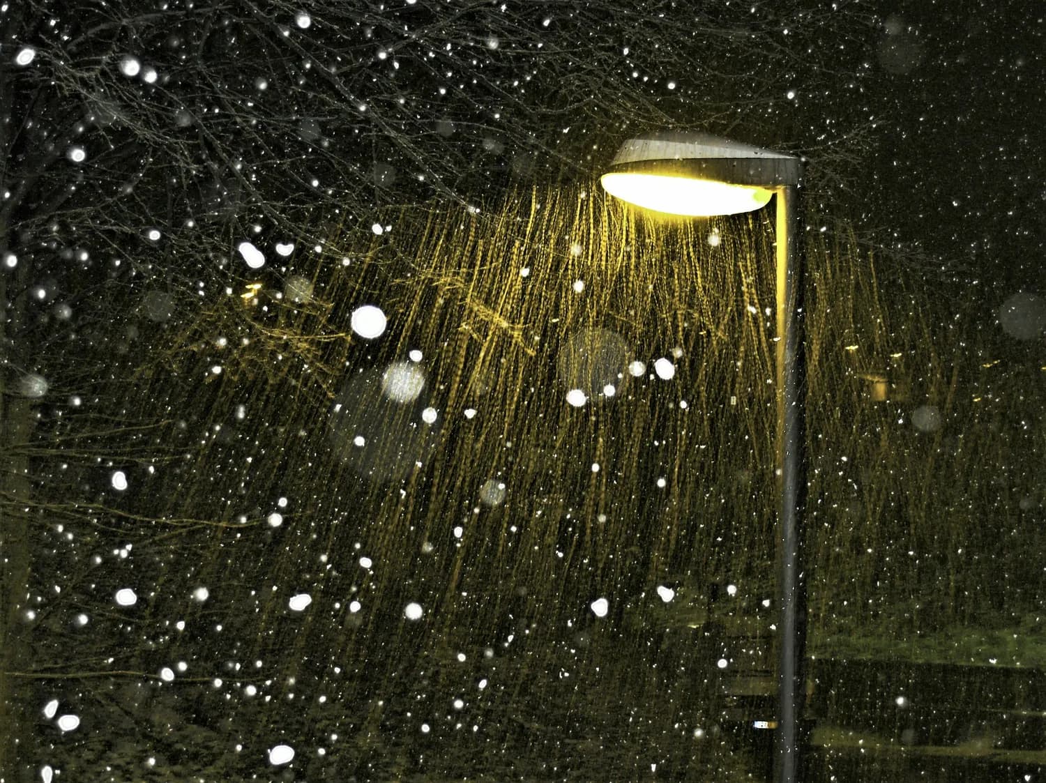 “应是天仙狂醉”：李白笔下的雪夜世界