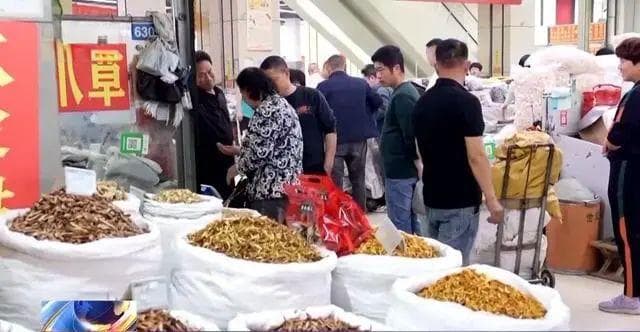 暴雨与资本炒作推高中药材价格，药企成本承压