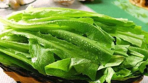 油麦菜的功效与作用