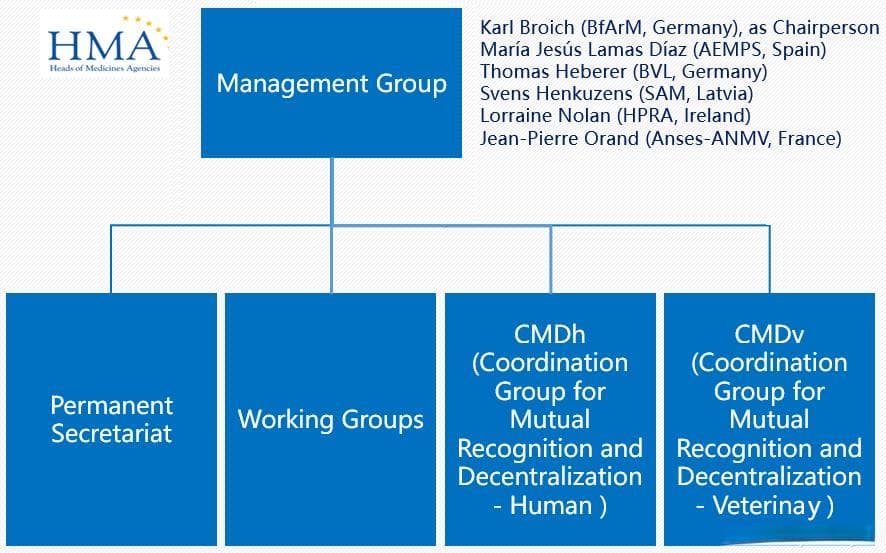 欧洲药品监管机构详解：EMA、HMA、EDQM职能与查询指南