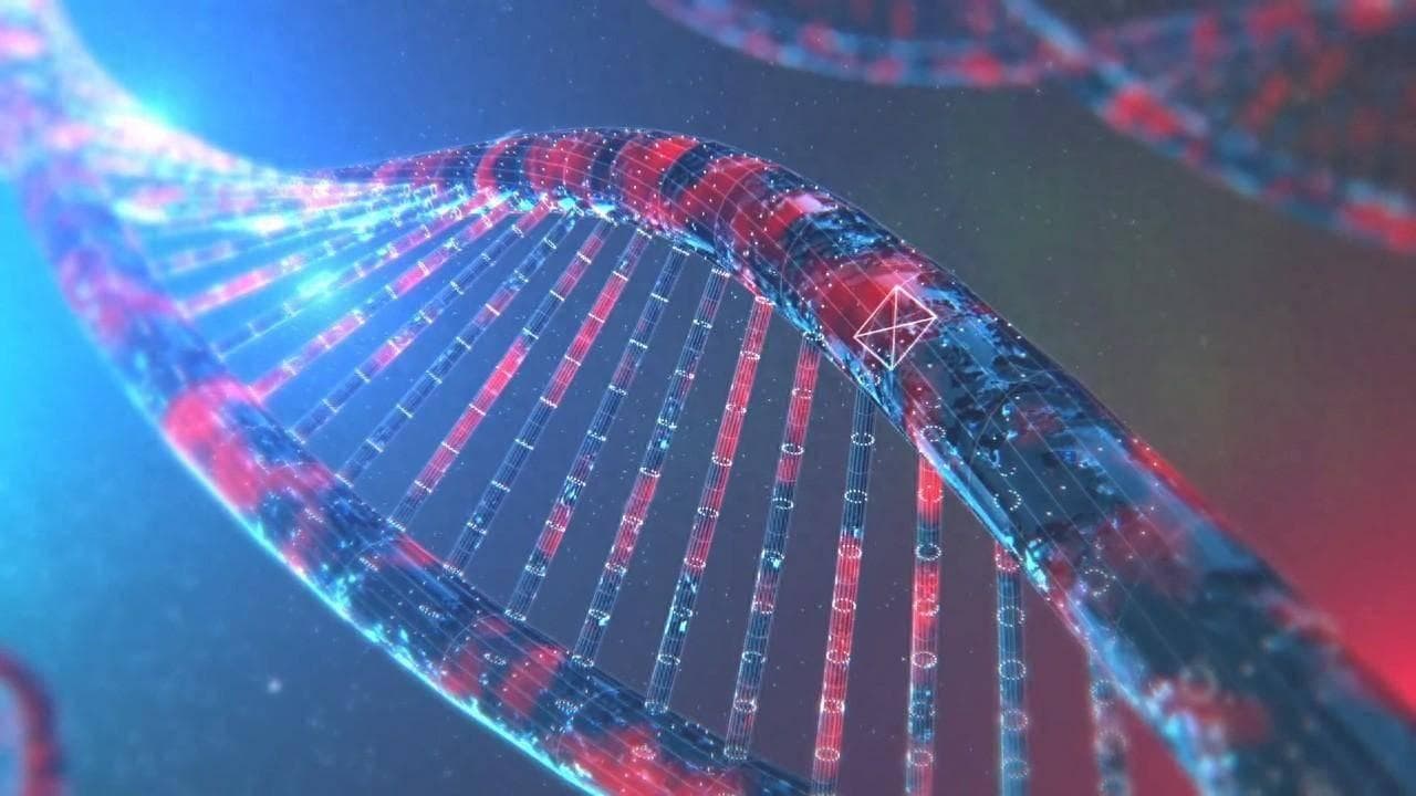 寿命长短，到底是人为还是早注定？调查发现：决定因素不是吃和运动