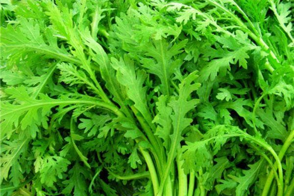茼蒿：皇帝菜的营养价值与三种美味做法