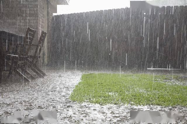 梅雨季防潮防霉除湿大法，早做准备不用愁