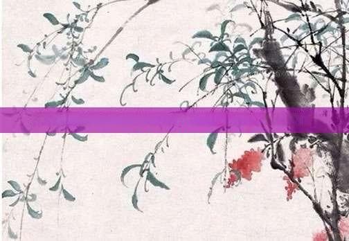 青岛火车站所在地详解，探寻这座历史名城的交通枢纽