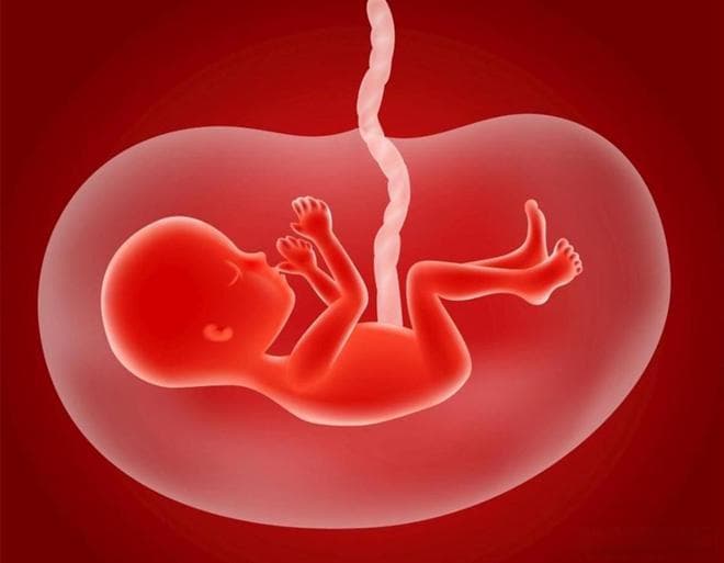 胎膜早破-家庭急救：济南妇幼保健院专家的“三做三不做”建议