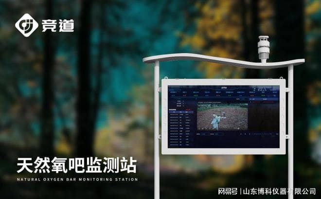 实时监测空气质量：负氧离子浓度监测系统的核心功能