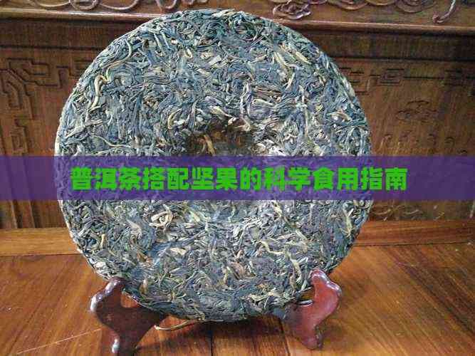 普洱茶搭配坚果的科学食用指南