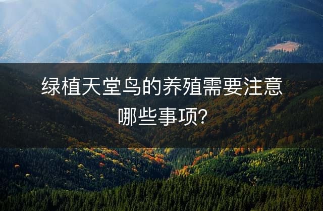 绿植天堂鸟的养殖需要注意哪些事项？