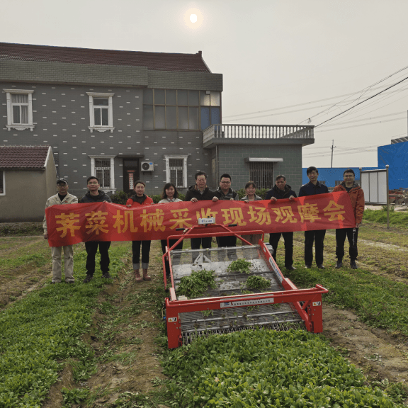 推动农业现代化，提升荠菜收获效率 ——荠菜标准化采收现场观摩活动在海门举办