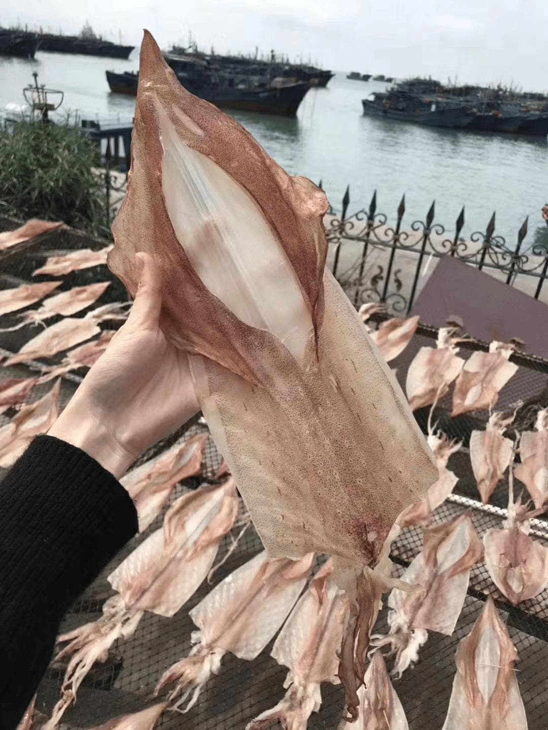 南澳三宝：紫菜、宅鱿和金薯，海岛美食的三重奏