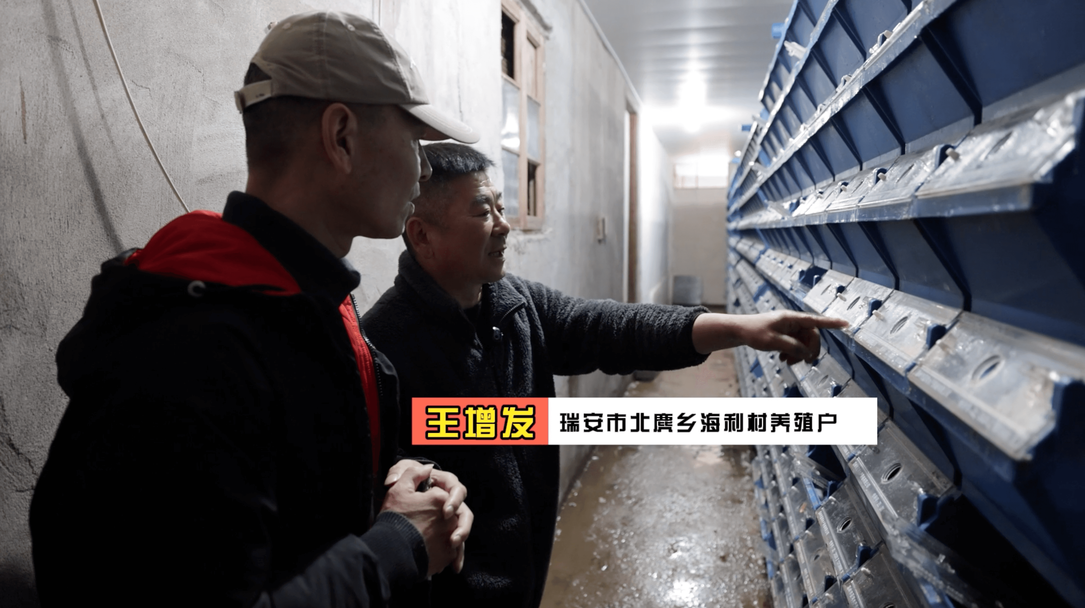 青蟹住上“公寓楼” 科学养殖不用愁