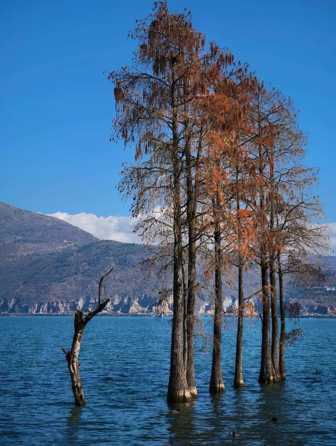 手机相机HDR是什么？拍照时需要打开吗？
