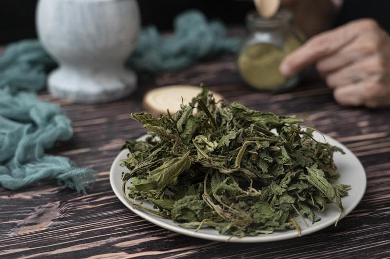 蒲公英是茶吗？一文读懂蒲公英茶的制作方法和营养价值