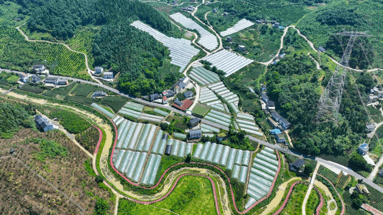 綦江：打造农民工返乡创业园