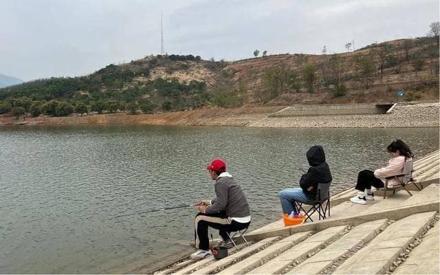 海带汤对高血压患者的影响：利弊分析与饮用建议