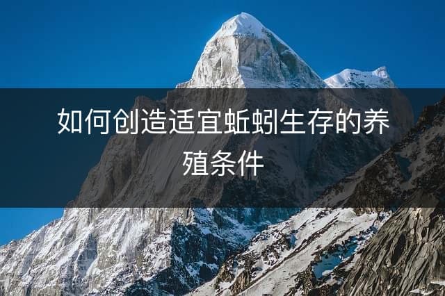 如何创造适宜蚯蚓生存的养殖条件