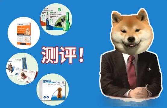 狗狗体外驱虫药测评：哪款药性价比最高？