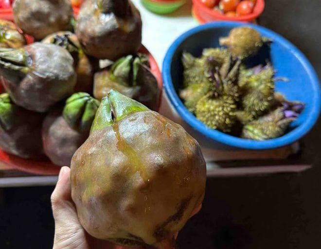 芡，一种被誉为“水中人参”的奇草，赫赫有名的水八仙之一！