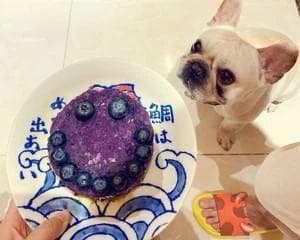 狗狗可以吃什么水果（最适合狗吃的 6 种水果）
