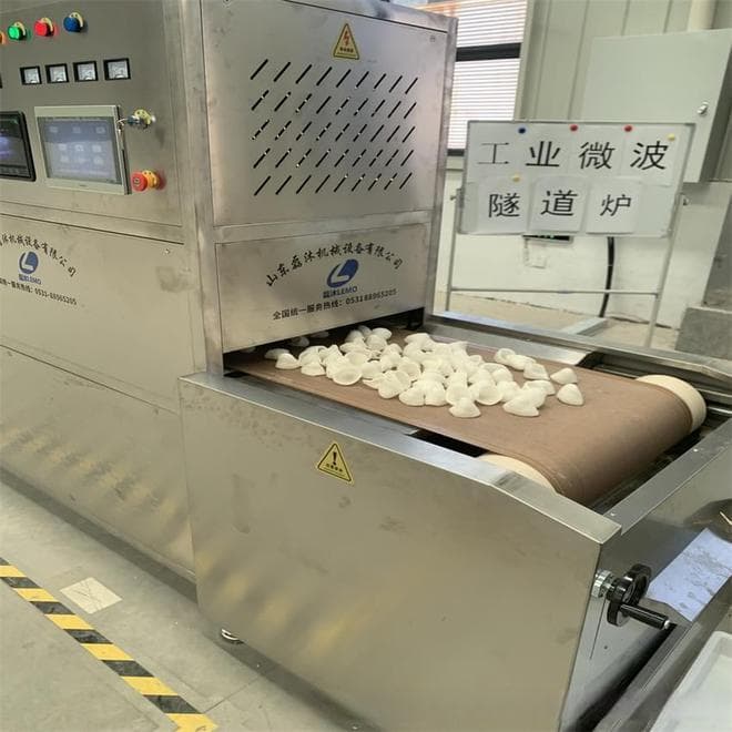 隧道式微波膨化机：无油炸、高效率，引领食品加工新趋势