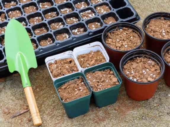 椰糠种植指南：特性、使用方法与注意事项