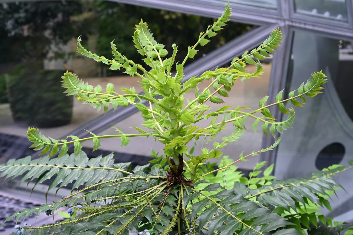 《我的世界：植物大战僵尸》新版攻略大揭秘！
