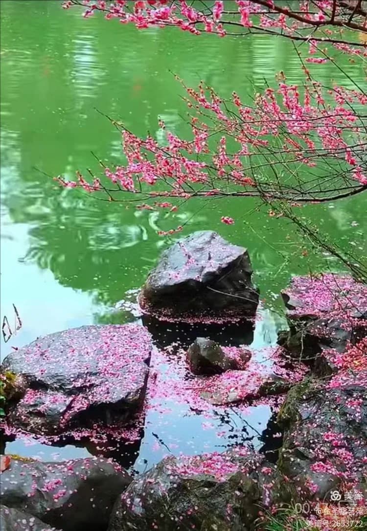 中医干预自闭症的综合指南