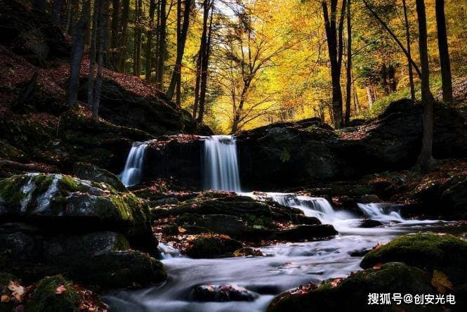 摄影技巧：如何选择最佳快门速度