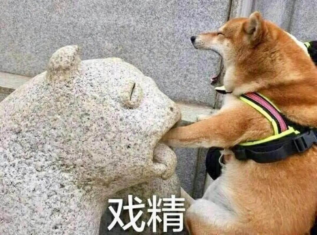 从粘人到藏食：狗狗缺乏安全感的九大表现