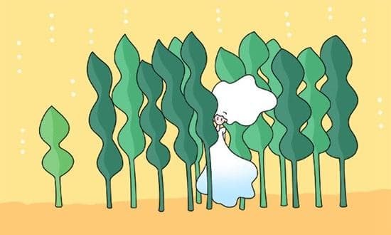 高考出分后的暑假，如何实现自我提升、规划和成长？