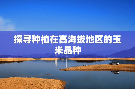 探寻种植在高海拔地区的玉米品种