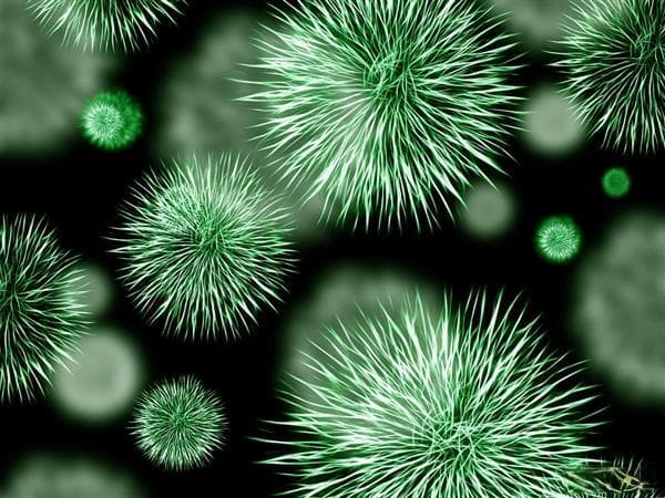 新型冠状病毒与流感的区别：症状、传播等分析
