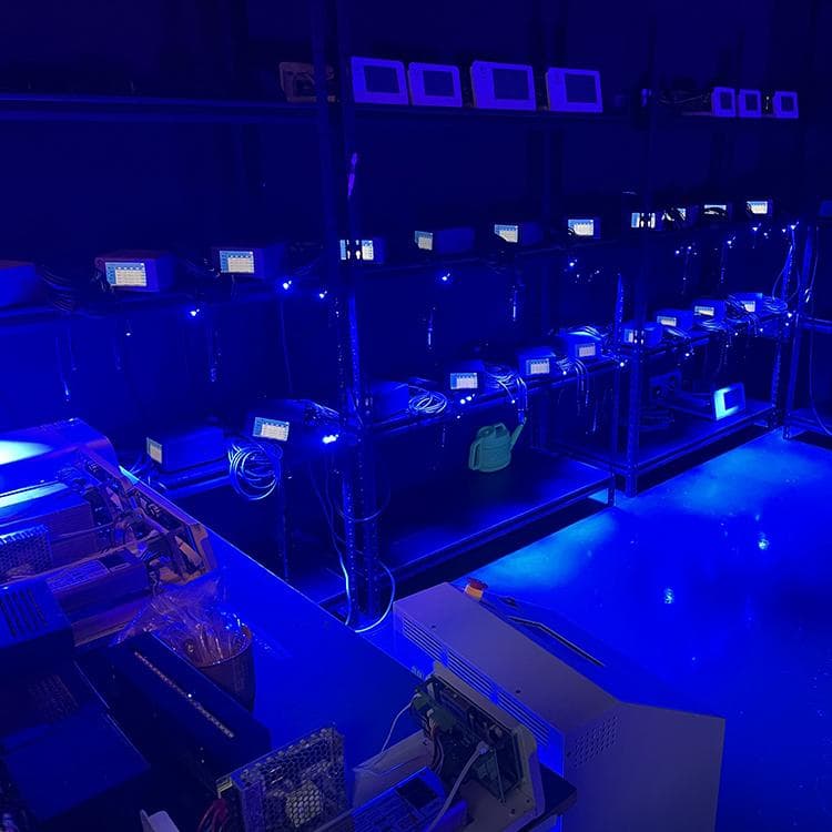 UVLED 设备知多少？一文带你了解其原理与应用