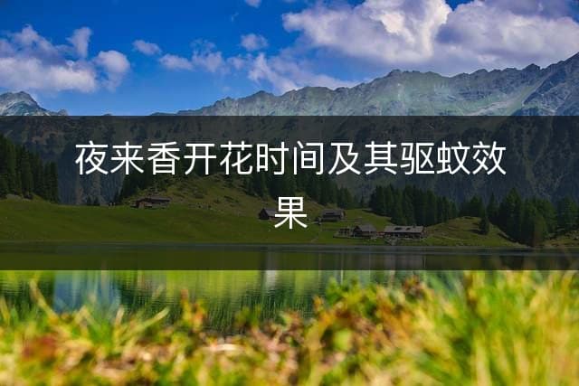夜来香开花时间及其驱蚊效果