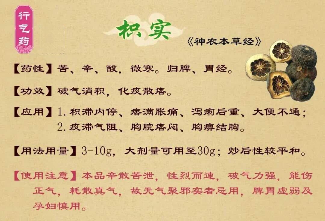 枳实：破气除痞、消积导滞之要药