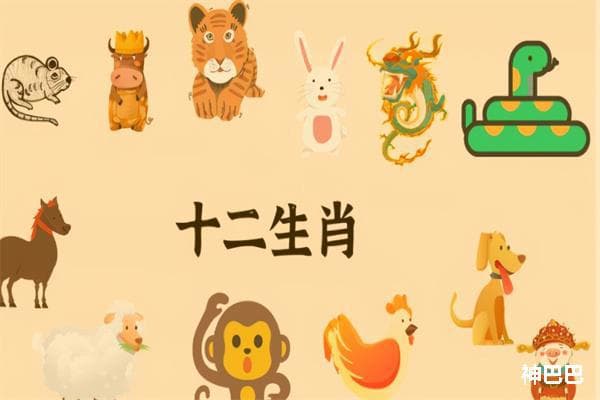 十二生肖配对表大全查询