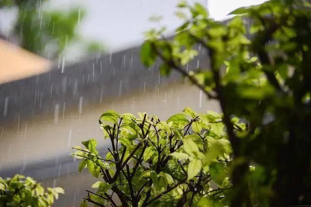 清明时节“雨纷纷”是巧合吗？