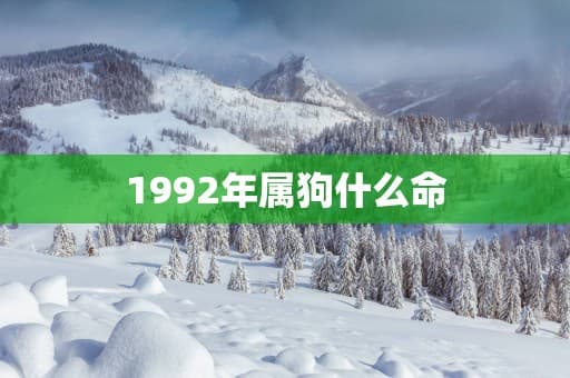 1992年属狗什么命